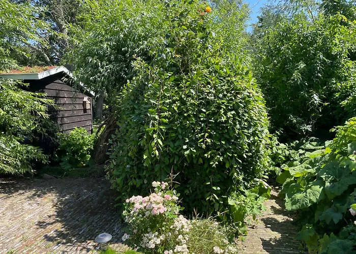 Ivy Cottage Near Amsterdam